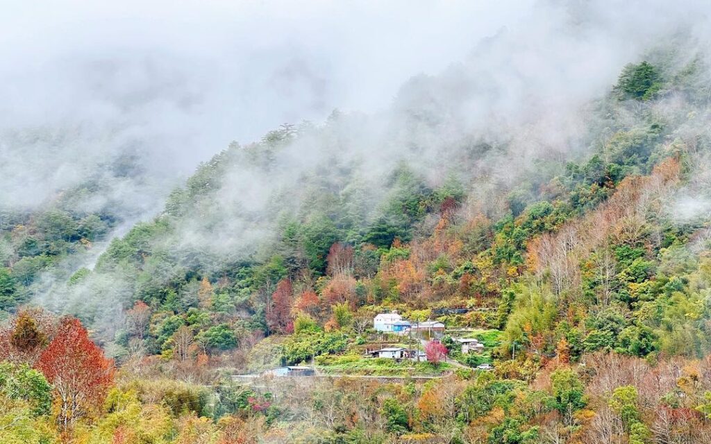 司馬庫斯