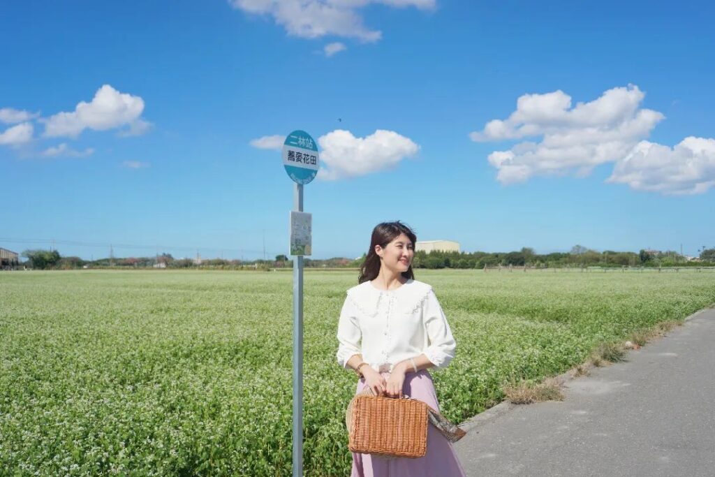 二林蕎麥花