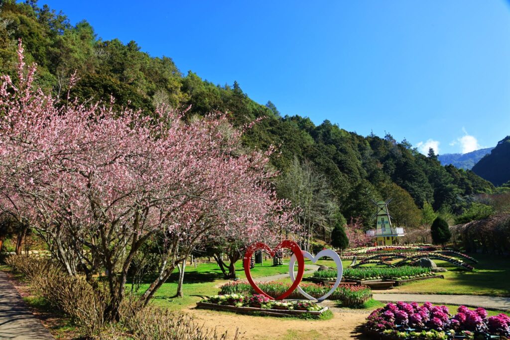 杉林溪森林生態渡假園區