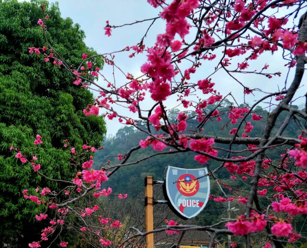 泰安派出所