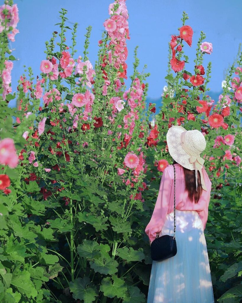 田中窯創藝園區