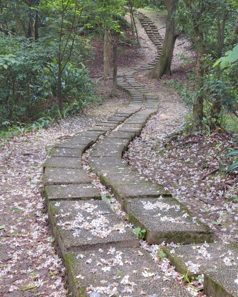 小南港山步道